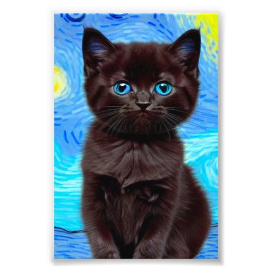 Van Gogh Starry Night Black Cat Fotodruck (Vorne)