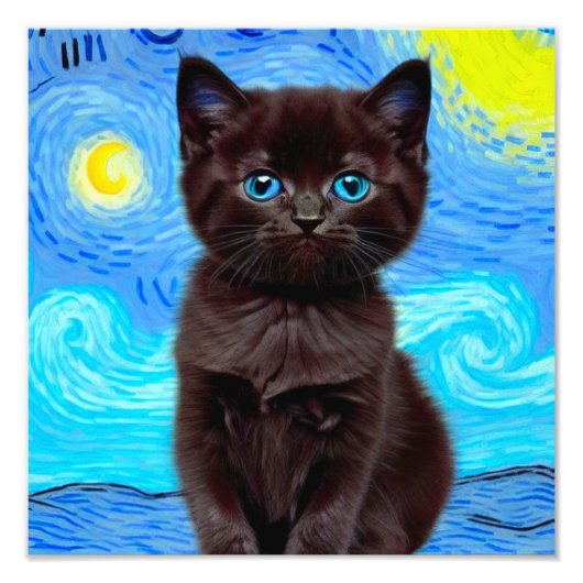 Van Gogh Starry Night Black Cat Fotodruck (Vorne)