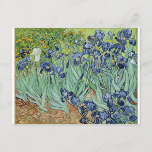 Van Gogh Still Life: Vase mit Iren Postkarte