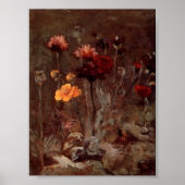 Van Gogh - Stillleben mit Scabiosa und Ranunculus Poster (Vorne)