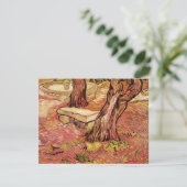 Van Gogh Stone Bench im Garten, St Paul Hospital (Stehend Vorderseite)