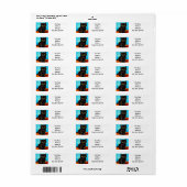 Van Gogh Style Pouting Kitten (Vorne)