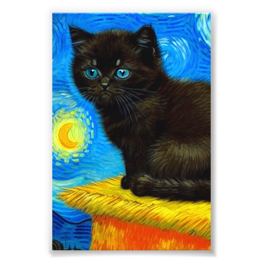 Van Gogh Style Starry Night Cat Fotodruck (Vorne)
