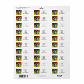 Van Gogh Tabby Cat (Vorne)