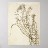 Van Gogh - Tassel Hyacinth Poster (Vorne)