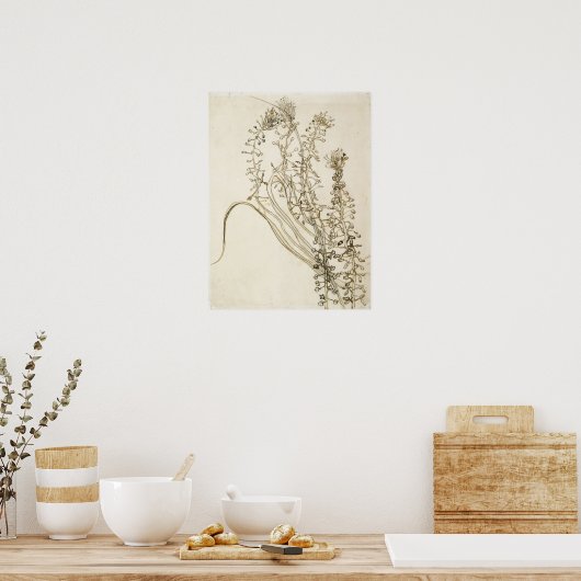 Van Gogh - Tassel Hyacinth Poster (Küche)