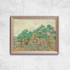 Van Gogh The Olive Orchard Baum Alte Kunst Poster