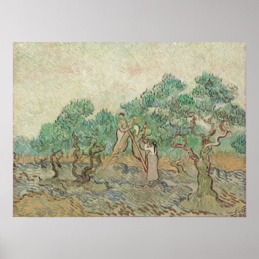 Van Gogh The Olive Orchard Baum Alte Kunst Poster (Vorne)