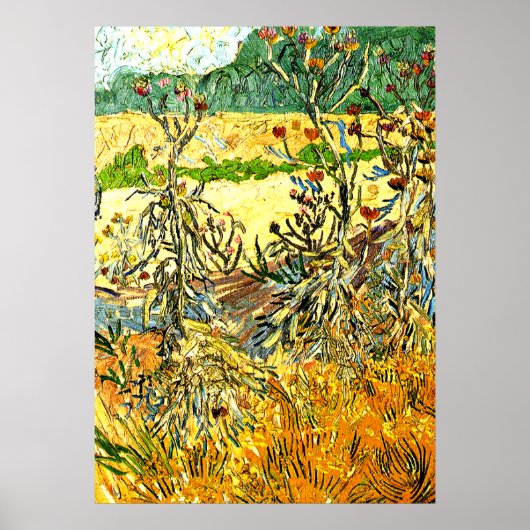 Van Gogh - Thistles, 1888 Vintage Malerei Poster (Vorne)