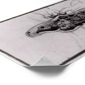 Van Gogh - Totenkopfmoth Poster (Ecke)