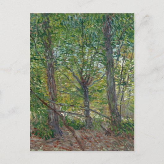 Van Gogh Trees and Underwood(F307) Fine Art Postkarte (Vorderseite)