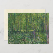 Van Gogh Trees und UnderGrowth Postkarte (Vorne/Hinten)
