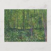 Van Gogh Trees und UnderGrowth Postkarte (Vorderseite)