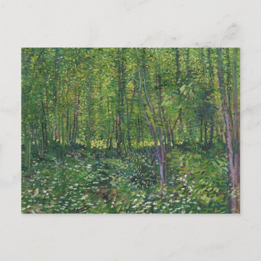 Van Gogh Trees und UnderGrowth Postkarte (Vorderseite)