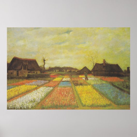 Van Gogh Tulip Fields Picture Print Poster (Vorne)