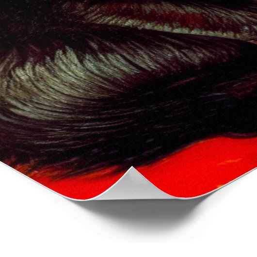 Van Gogh Tuxedo Cat Poster (Ecke)