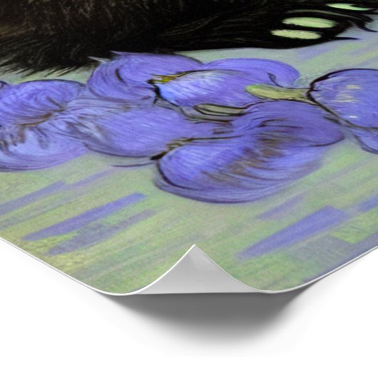 Van Gogh Tuxedo Kitten Poster (Ecke)
