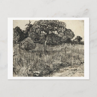 Van Gogh Weeping Tree auf dem Rasen Postkarte
