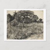Van Gogh Weeping Tree auf dem Rasen Postkarte (Vorderseite)