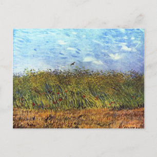 Van Gogh: Weizenfeld mit Mohn und Lerche Postkarte