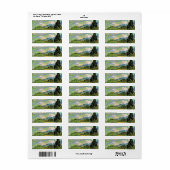 Van Gogh Wheat Field w Cypressen bei Haute Galline (Vorne)