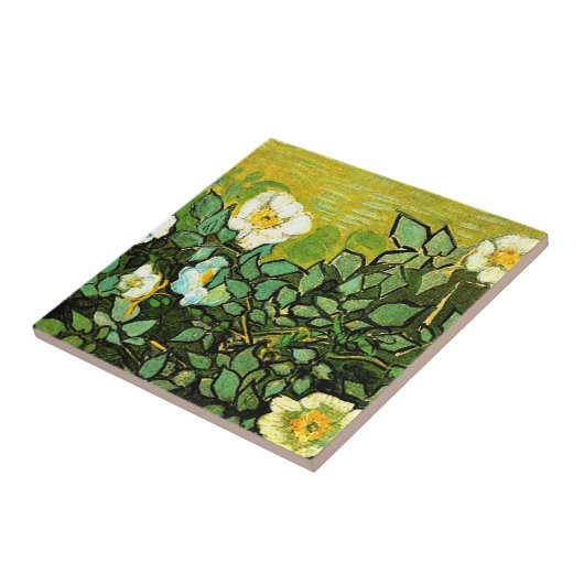 Van Gogh - Wilde Rose Fliese (Seite)