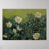 Van Gogh - Wilde Rose Poster (Vorne)