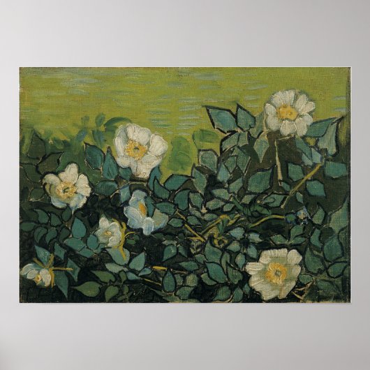 Van Gogh - Wilde Rose Poster (Vorne)