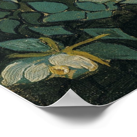 Van Gogh - Wilde Rose Poster (Ecke)