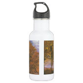 Van- Goghherbst-Fall-Baum verlässt Schicksal Edelstahlflasche (Rückseite)