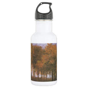 Van- Goghherbst-Fall-Baum verlässt Schicksal Edelstahlflasche