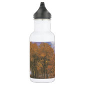 Van- Goghherbst-Fall-Baum verlässt Schicksal Edelstahlflasche (Rechts)