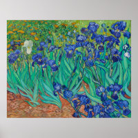 Van Gogh's Ire