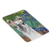 Van Gogh's Ire und der Extravagante Llama Magnet (Rechte Seite)
