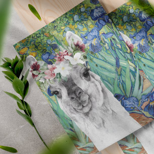 Van Gogh's Ire und Extravagantes Llama Scrapbook P