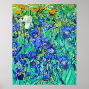 Van Goghs Schwertlilien Poster