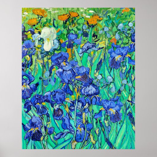 Van Goghs Schwertlilien Poster (Vorne)