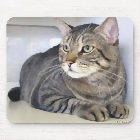 Van Helsing Mousepad (Vorne)