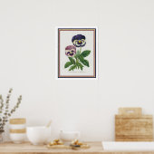 Van Houtte 1845 Botanischer "Stiefmütterchen" Druc Poster (Küche)
