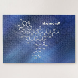 Vancomycin Puzzle