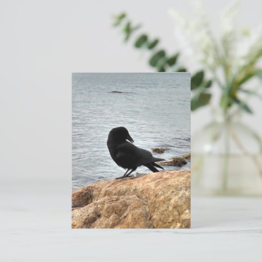 Vancouver Crow Postkarte (Stehend Vorderseite)
