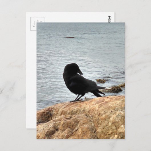Vancouver Crow Postkarte (Vorne/Hinten)