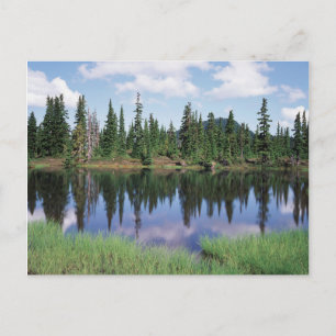 Vancouver Island, Strathcona Provincial Park 2 Postkarte