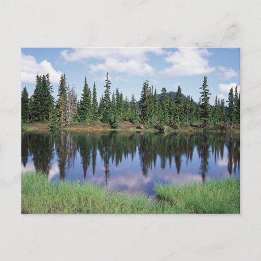 Vancouver Island, Strathcona Provincial Park 2 Postkarte (Vorderseite)