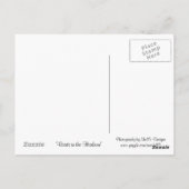 Vancouver Kanada Boote Postkarte (Rückseite)