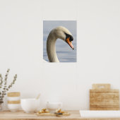 Vancouver, Stanley Park, Mute Swan (Cygnus olor) 2 Poster (Küche)