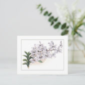 Vanda coerulea postkarte (Stehend Vorderseite)