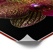 Vanda Orchids Poster (Ecke)