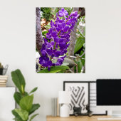 Vanda Orchids Poster (Heimbüro)