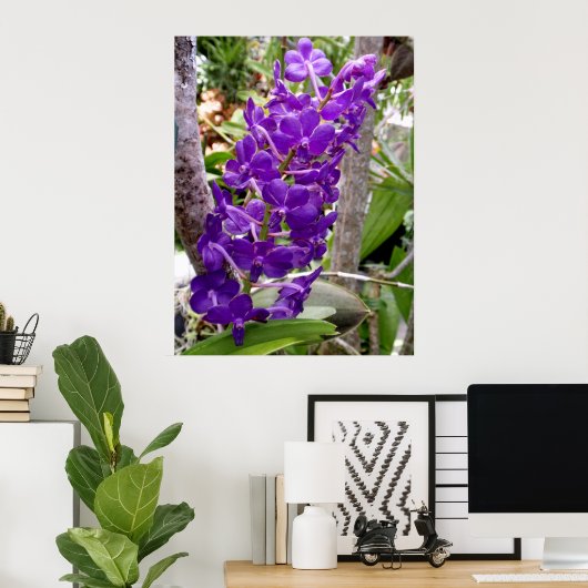Vanda Orchids Poster (Heimbüro)